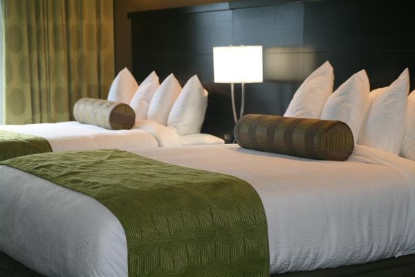 BEST WESTERN PREMIER UNIV INN (Hattiesburg)